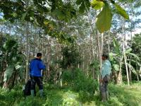 2WhatsApp Image 2022-03-15 at 14.34.16.jpeg